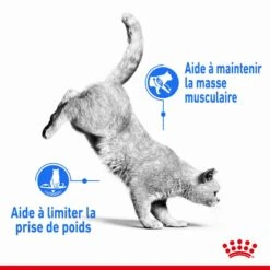 Royal Canin Féline Care Nutrition Light Weight Care 1,5 Kg -Boutique Trixie royal canin fe line care nutrition light weight care3