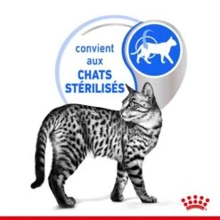 Royal Canin Feline Health Nutrition Indoor Sterilised Sauce 12 X 85 G -Boutique Trixie royal canin fe line health nutrition indoor sterilised sauce 12 x 85 g2