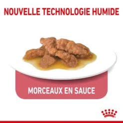 Royal Canin Feline Health Nutrition Indoor Sterilised Sauce 12 X 85 G -Boutique Trixie royal canin fe line health nutrition indoor sterilised sauce 12 x 85 g3