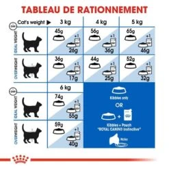 Royal Canin Féline Health Nutrition Indoor 27 - 10 Kg 16 Royal Canin Féline Health Nutrition Indoor 27 - 10 Kg -Boutique Trixie royal canin feline health nutrition indoor 27 10 kg 6