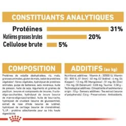 Royal Canin Maine Coon Adult 2 Kg -Boutique Trixie royal canin maine coon adult 8