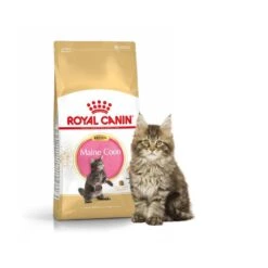 Royal Canin Maine Coon Kitten 2 Kg -Boutique Trixie royal canin mc kit 2