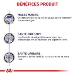 Royal Canin Veterinary Chat Neutered Maintenance 12 X 85 G -Boutique Trixie royal canin veterinary chat neutered maintenance 12 x 85 g 3