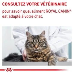 Royal Canin Veterinary Chat Neutered Maintenance 12 X 85 G -Boutique Trixie royal canin veterinary chat neutered maintenance 12 x 85 g 7