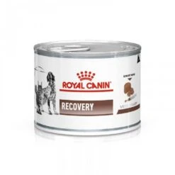 Royal Canin Veterinary Diet Recovery 195 Grs