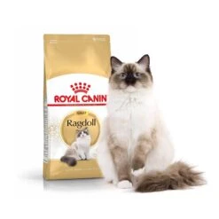 Royal Canin Chat Adult Ragdoll 10 Kg -Boutique Trixie royal canin chat adult ragdoll1