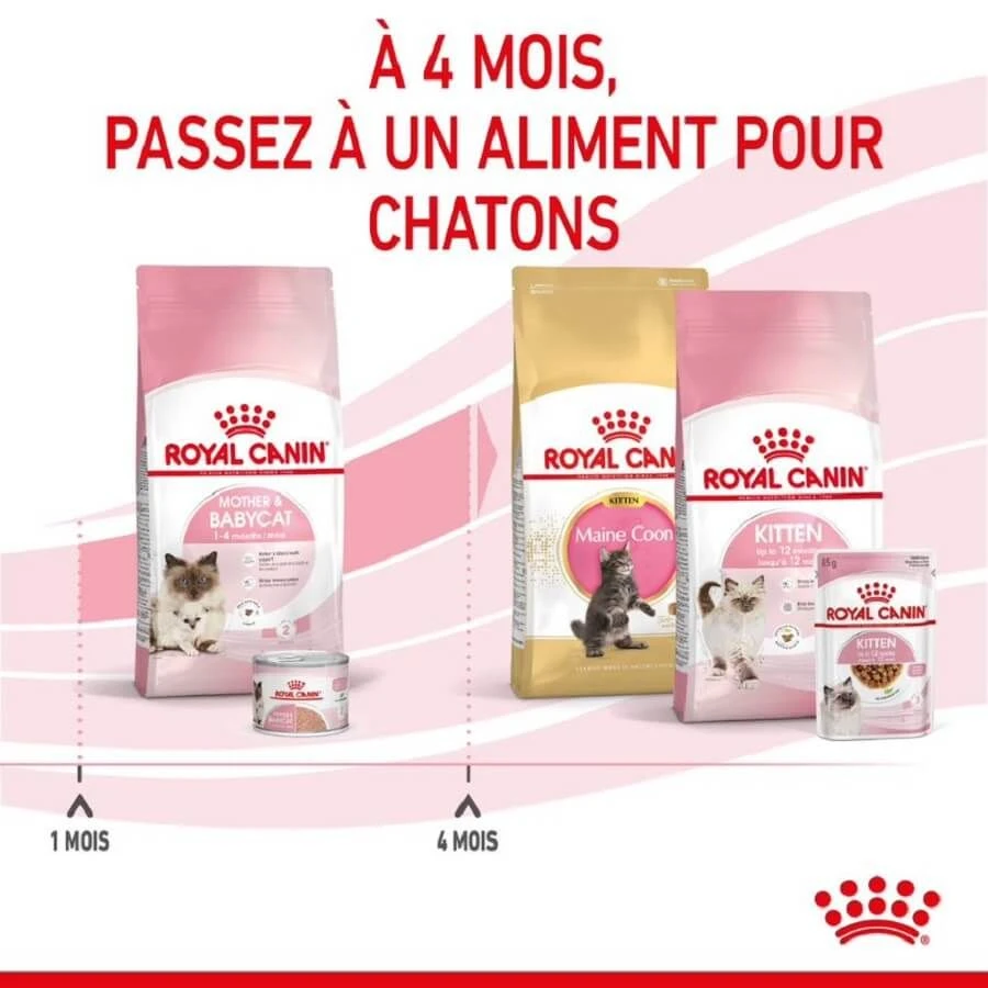 Royal Canin Féline Health Nutrition First Age Mother & Babycat 2 Kg – Image 6