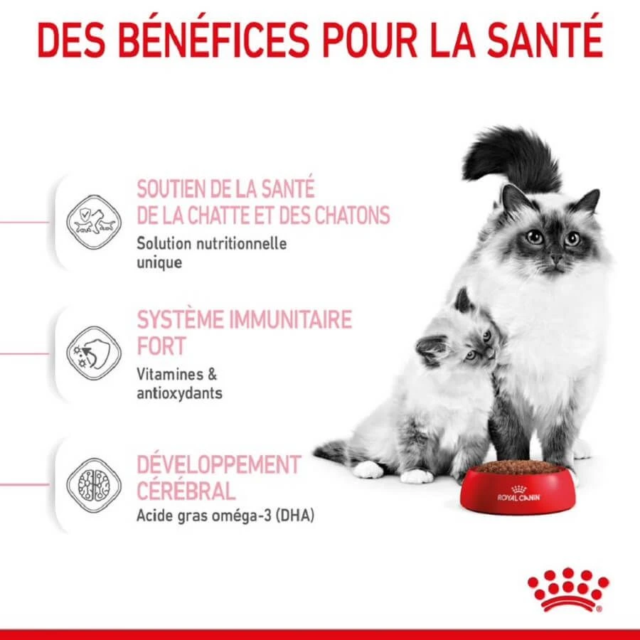 Royal Canin Féline Health Nutrition First Age Mother & Babycat 2 Kg – Image 4
