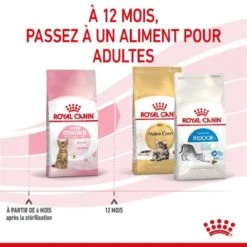 Royal Canin Feline Health Nutrition Kitten Sterilised 400 G -Boutique Trixie royal canin feline health nutrition kitten sterilised 5 2