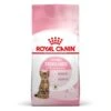 Royal Canin Feline Health Nutrition Kitten Sterilised 2 Kg -Boutique Trixie royal canin feline health nutrition kitten sterilised 9