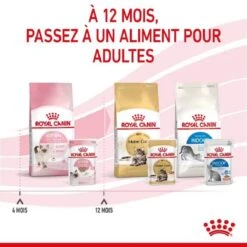 Royal Canin Kitten Sachet En Mousse 12 X 85 G -Boutique Trixie royal canin kitten sachet en mousse 7