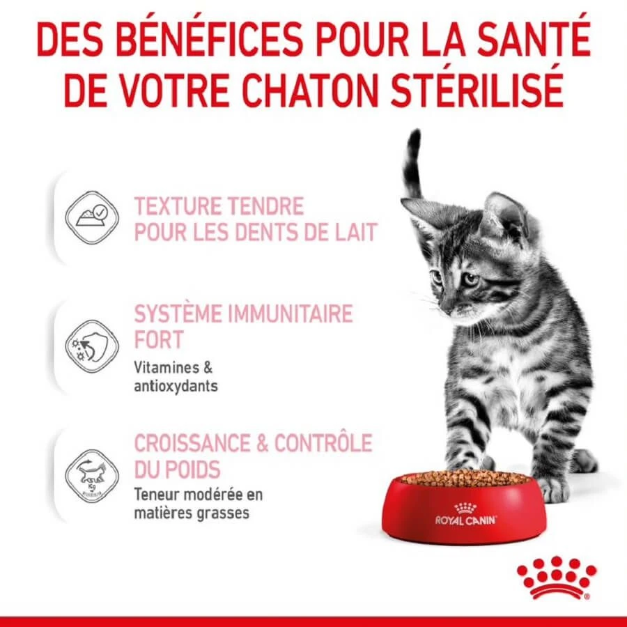 Royal Canin Kitten Sterilised Sachet 12 X 85 Grs 9 Royal Canin Kitten Sterilised Sachet 12 X 85 Grs – Image 7