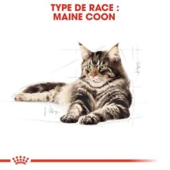 Royal Canin Maine Coon Adult 2 Kg -Boutique Trixie royal canin maine coon adult 2