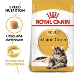 Royal Canin Maine Coon Adult 2 Kg -Boutique Trixie royal canin maine coon adult 3
