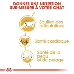 Royal Canin Maine Coon Adult 2 Kg -Boutique Trixie royal canin maine coon adult 5