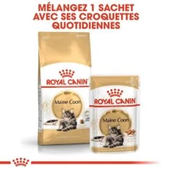 Royal Canin Maine Coon Adult 2 Kg -Boutique Trixie royal canin maine coon adult 6