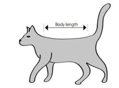 Buster Body Suit Chat XXS -Boutique Trixie sche m 1