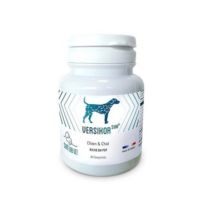 Versikor 500 Chien Et Chat 180 Cps – Image 2