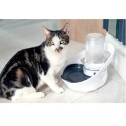 Sure Petcare Felaqua Connect Distributeur D'eau Chat -Boutique Trixie sure petcare felaqua connect distributeur d eau chat 3