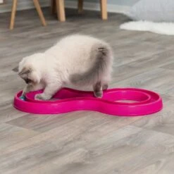 Trixie Jouet Flashing Ball Race Pour Chat -Boutique Trixie trixie jouet flashing ball race pour chat2