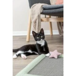 Trixie Tapis à Gratter Junior Chat 47 X 47 Cm -Boutique Trixie trixie tapis a gratter junior 47 x 47 cm 3