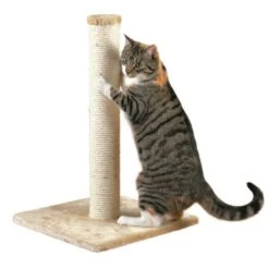 Trixie Poteau Griffoir Parla Beige Pour Chat 62 Cm -Boutique Trixie trixie poteau griffoir parla beige pour chat 62 cm