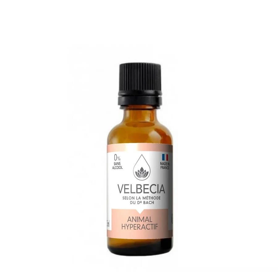 Velbecia Fleurs De Bach Animal Hyperactif 30 Ml 3 Velbecia Fleurs De Bach Animal Hyperactif 30 Ml