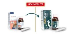Virbac HYALORAL Gel Chat Et Chien <10 Kg 50 Ml -Boutique Trixie virbac hyaloral gel chat et chien 10 kg 50 ml