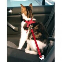 Trixie Harnais De Sécurité Voiture Pour Chat -Boutique Trixie web