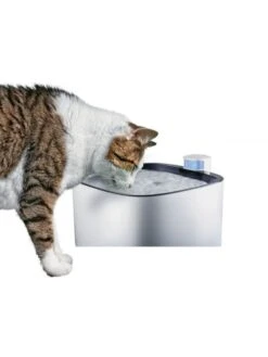 Zolux Fontaine à Eau Iguazu 3 L -Boutique Trixie zolux fontaine eau 3l iguazu 1